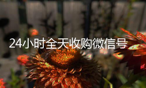 24小时全天收购微个人回收vx秒结信号（出售微信24小时在线回收）